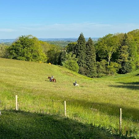 Domaine De Montmery Sa Piscine Son Jardin Ses Espaces Ambazac Zewnętrze zdjęcie