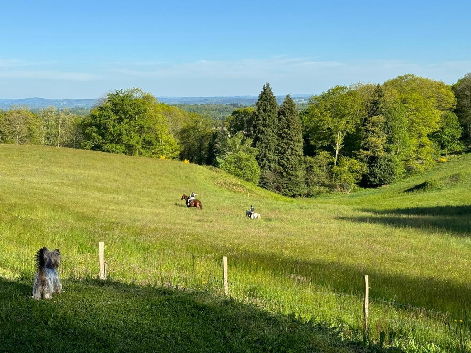 Domaine De Montmery Sa Piscine Son Jardin Ses Espaces Ambazac Zewnętrze zdjęcie
