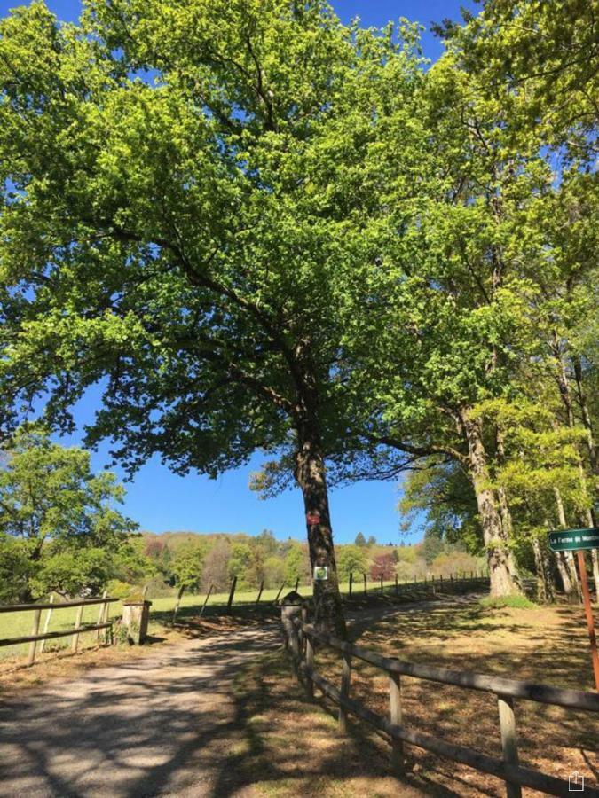 Domaine De Montmery Sa Piscine Son Jardin Ses Espaces Ambazac Zewnętrze zdjęcie
